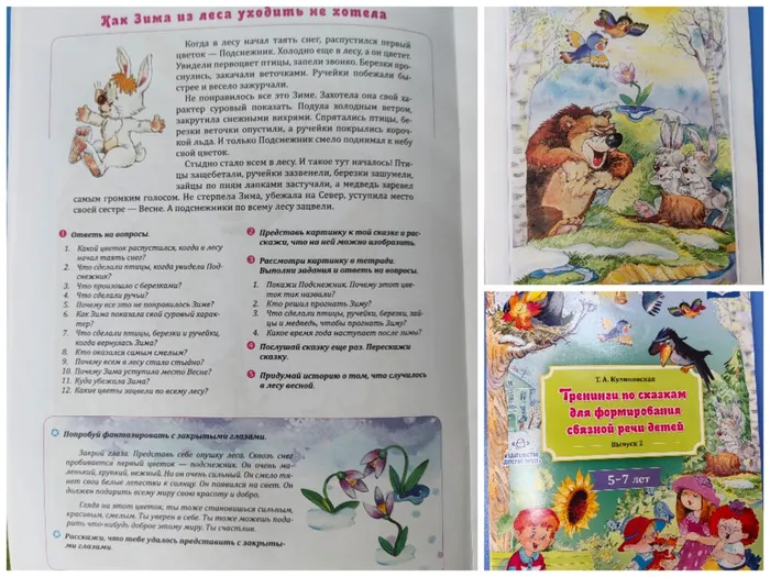 Collage_20260213_141705