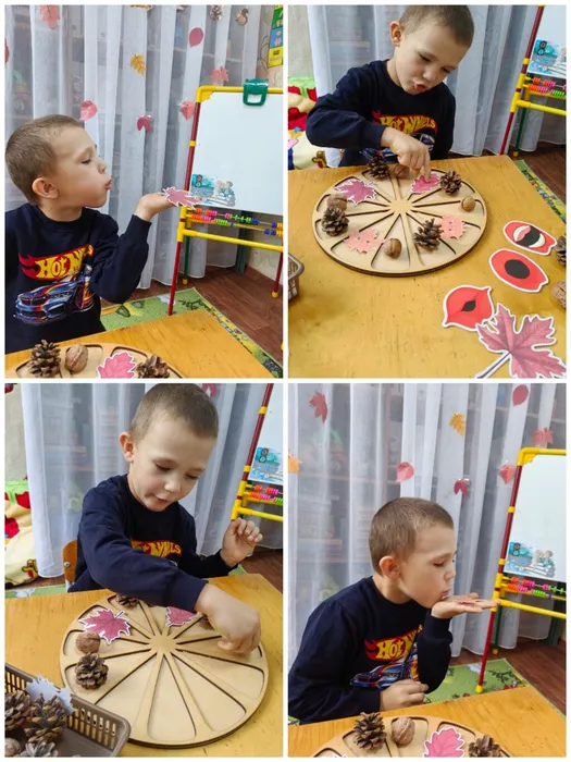 Collage_20261002_194238